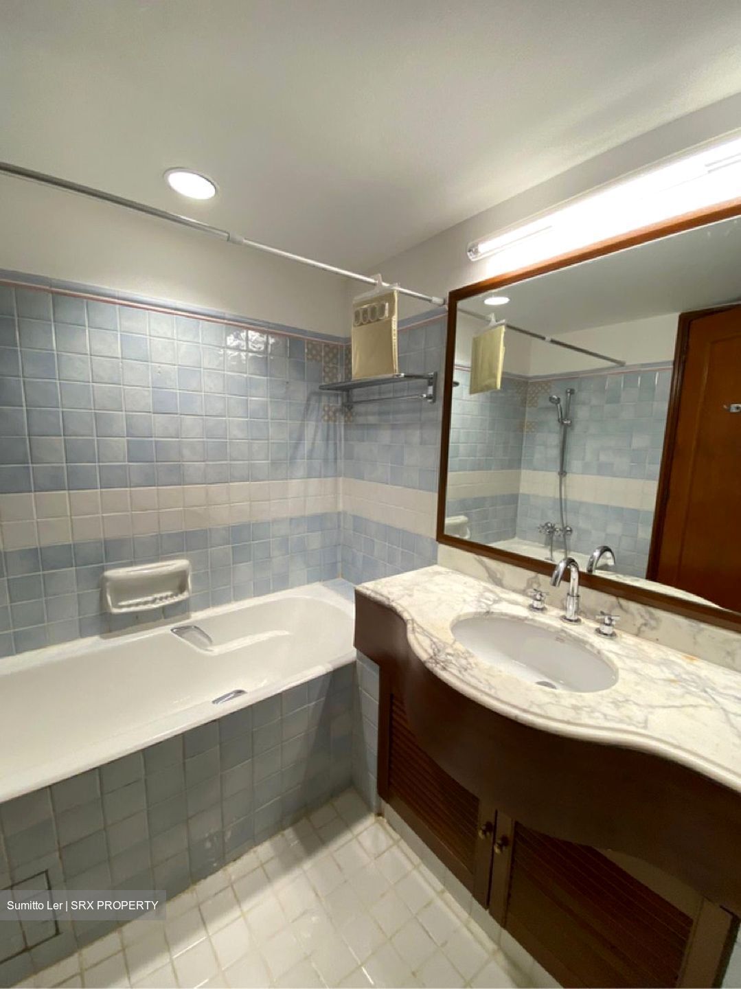Cavenagh Lodge (D9), Apartment #622784591